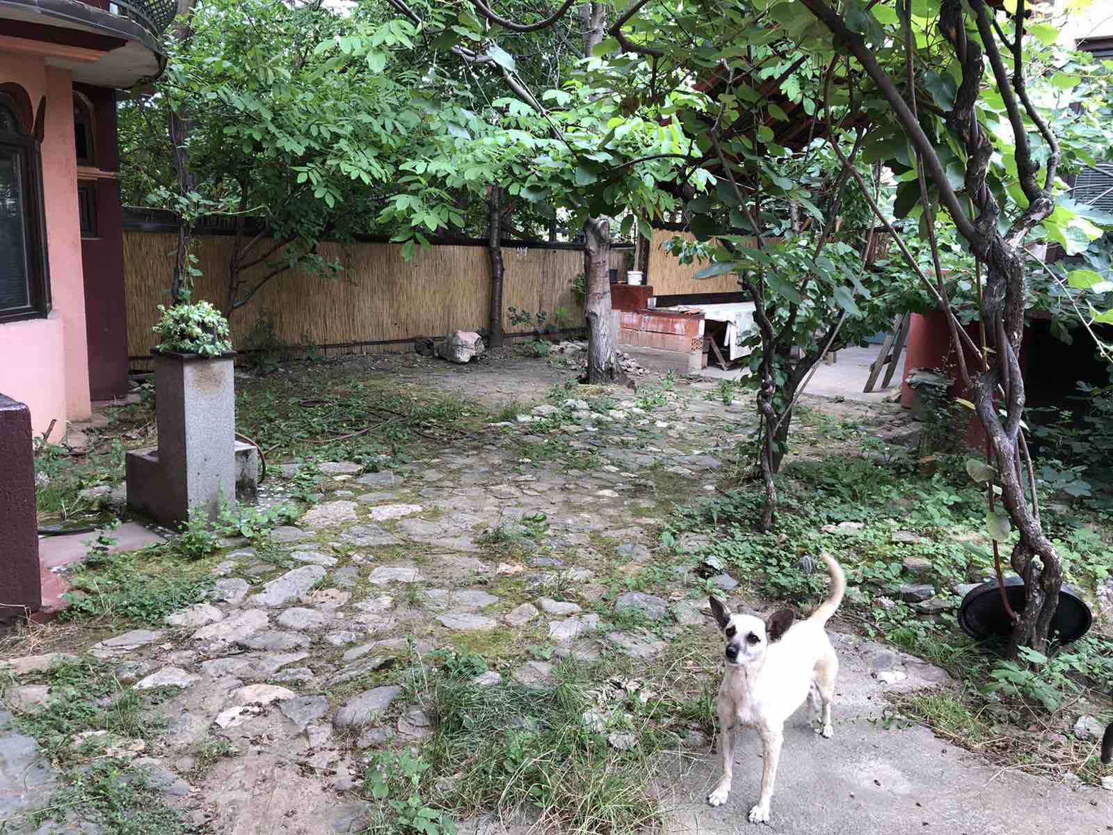 Izdaje se kuća   lokal ili stan  Vranje  centar 7