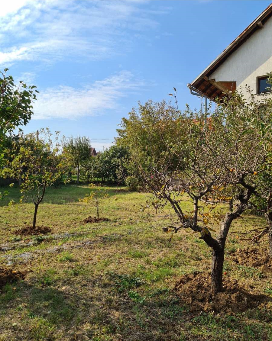 Prodaje se kuca u Smederevu 3