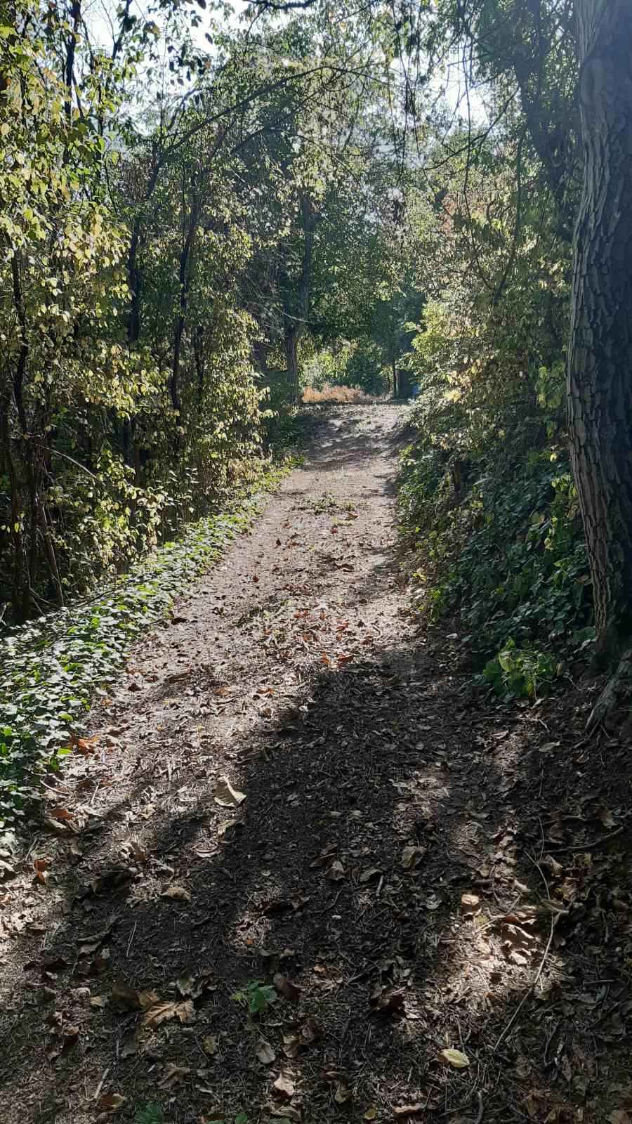 Prodajem plac u Indjiji 4