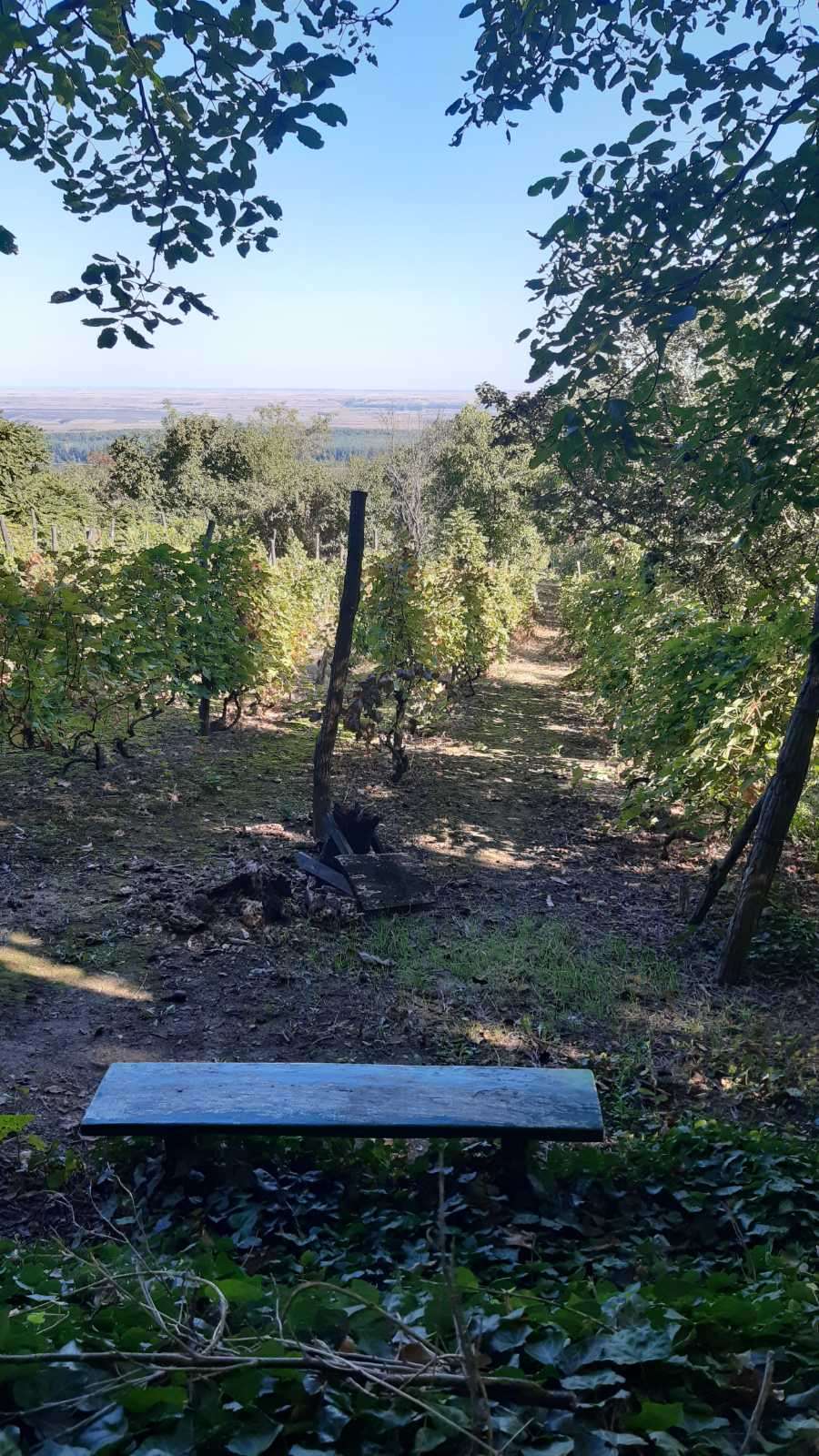 Prodajem plac u Indjiji 5