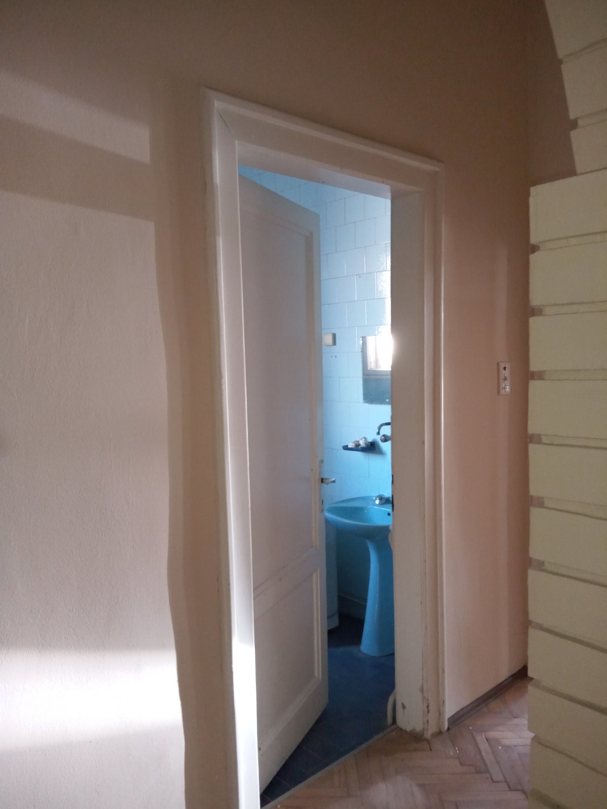 Prodajem kucu sa 2 lokala u Pancevu 4