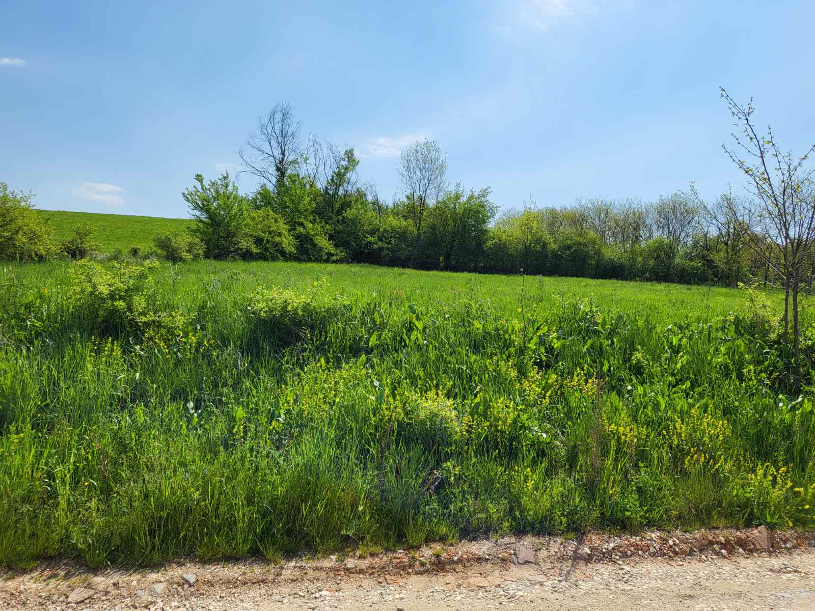 Plac u Velikoj Ivanci 4