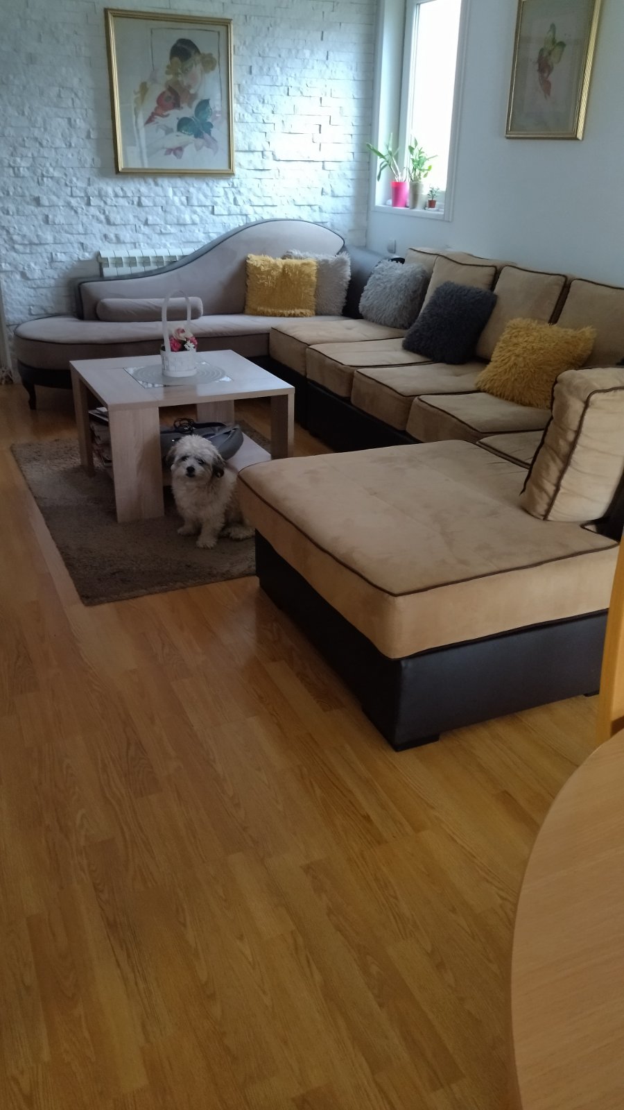 Kuća podeljena na stanove na prodaju 5