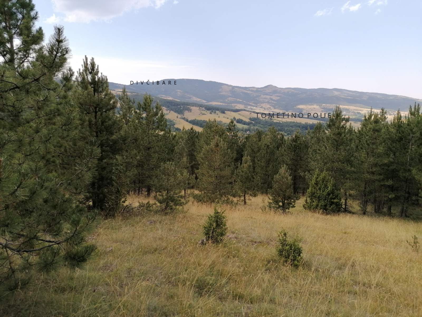 Divcibare Tometino Polje 1