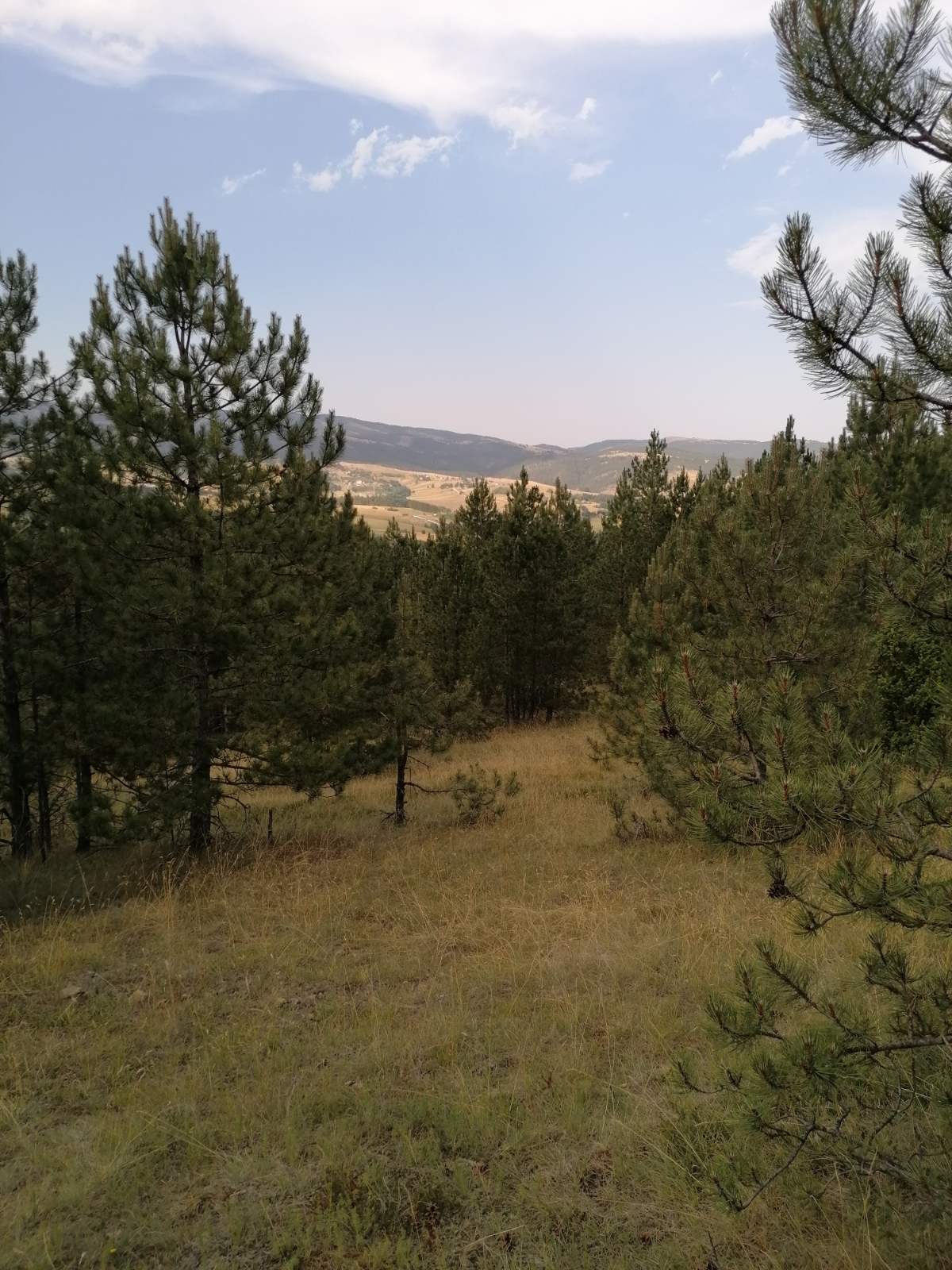 Divcibare Tometino Polje 3