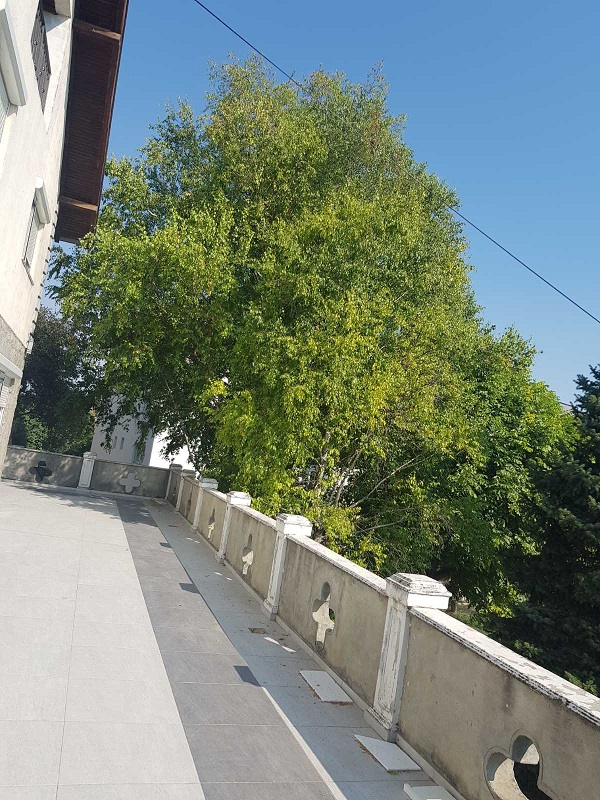 Prodajem kucu u Starim Banovcima 3