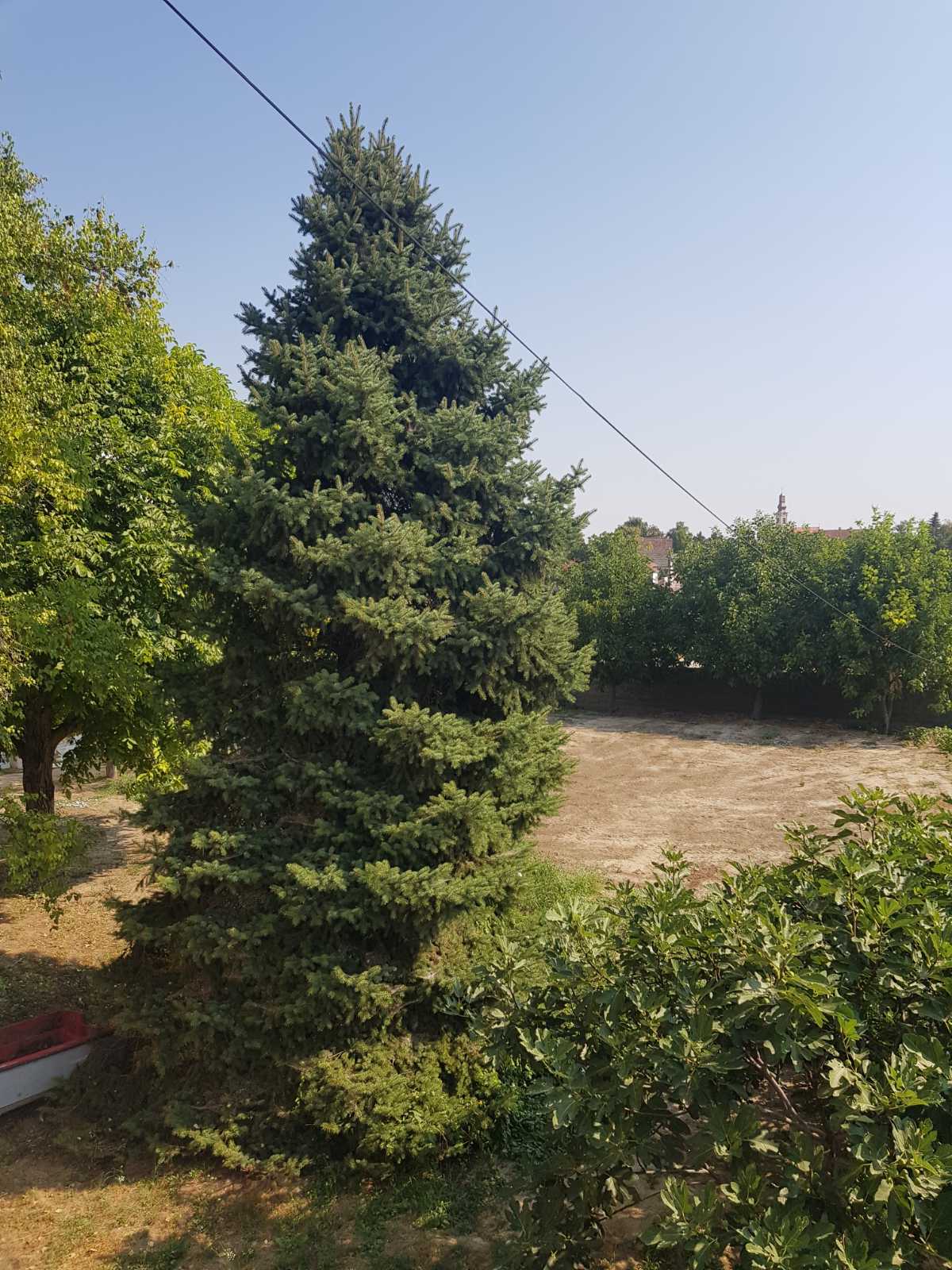 Prodajem kucu u Starim Banovcima 5