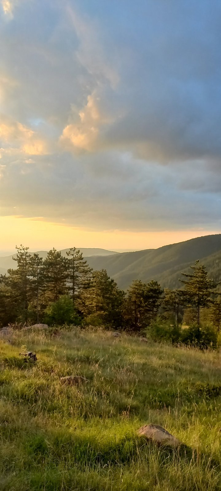 Apartman na Divčibarama 40 84m2  Apartmani Gorštak 2 4