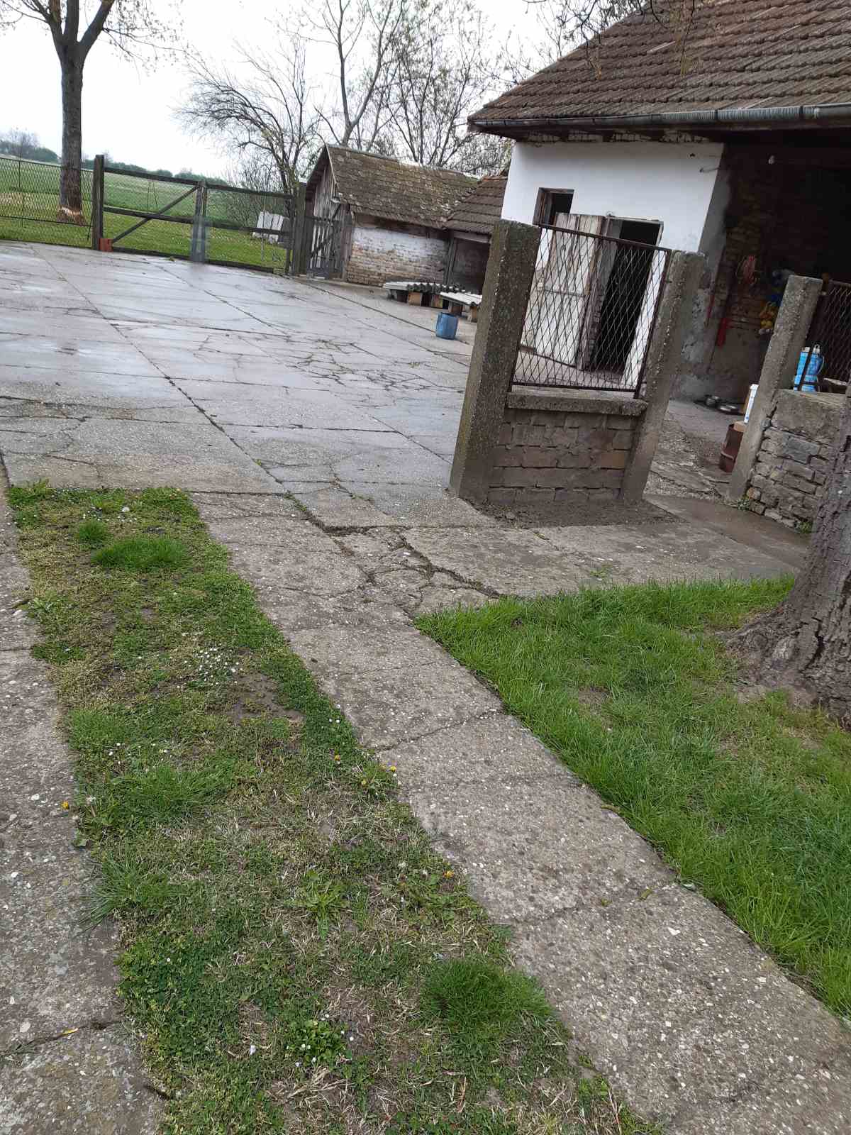 Kuća na prodaju u Bačkom Brestovcu 2