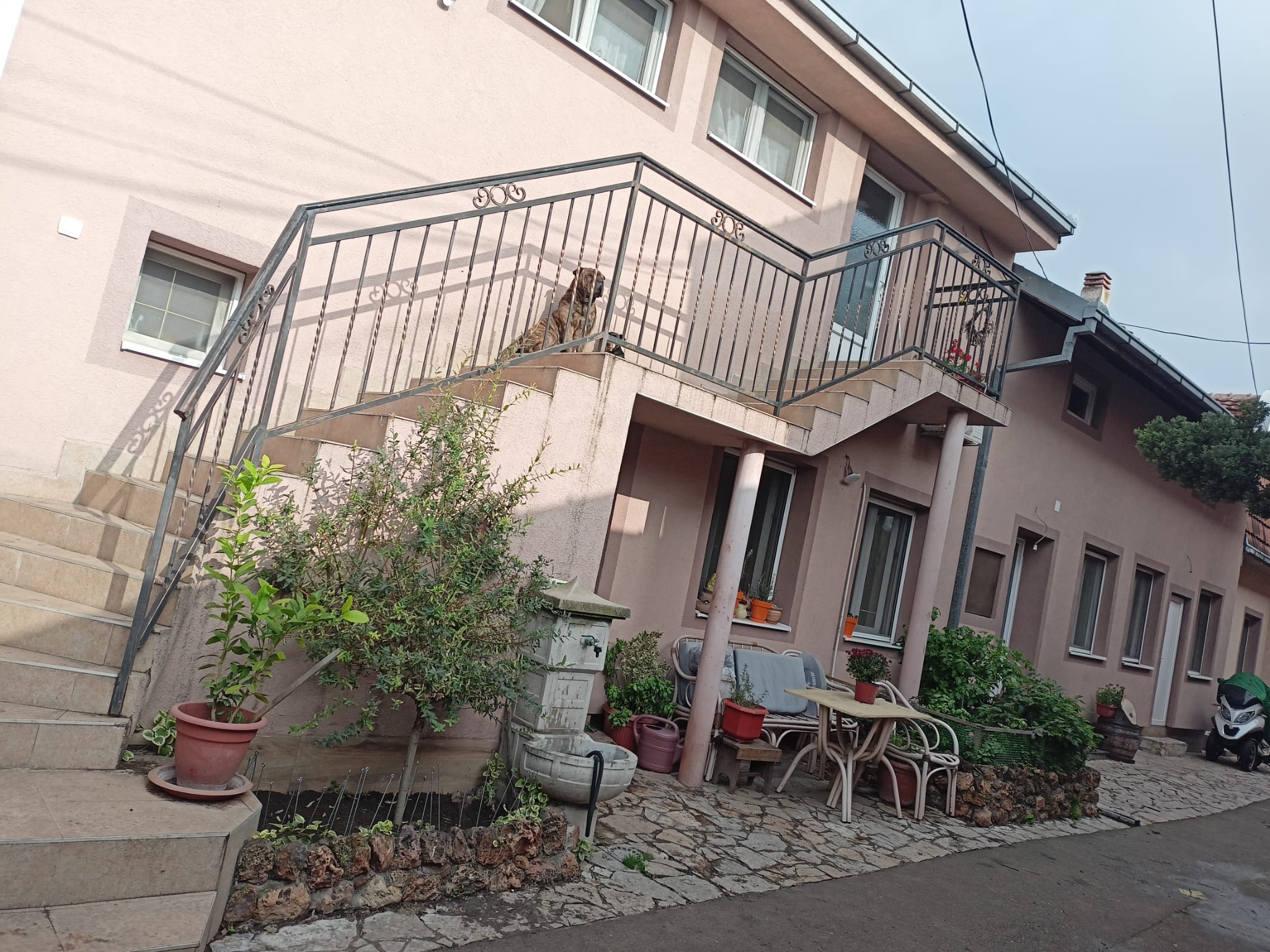 Oaza mira u Zemunu 3