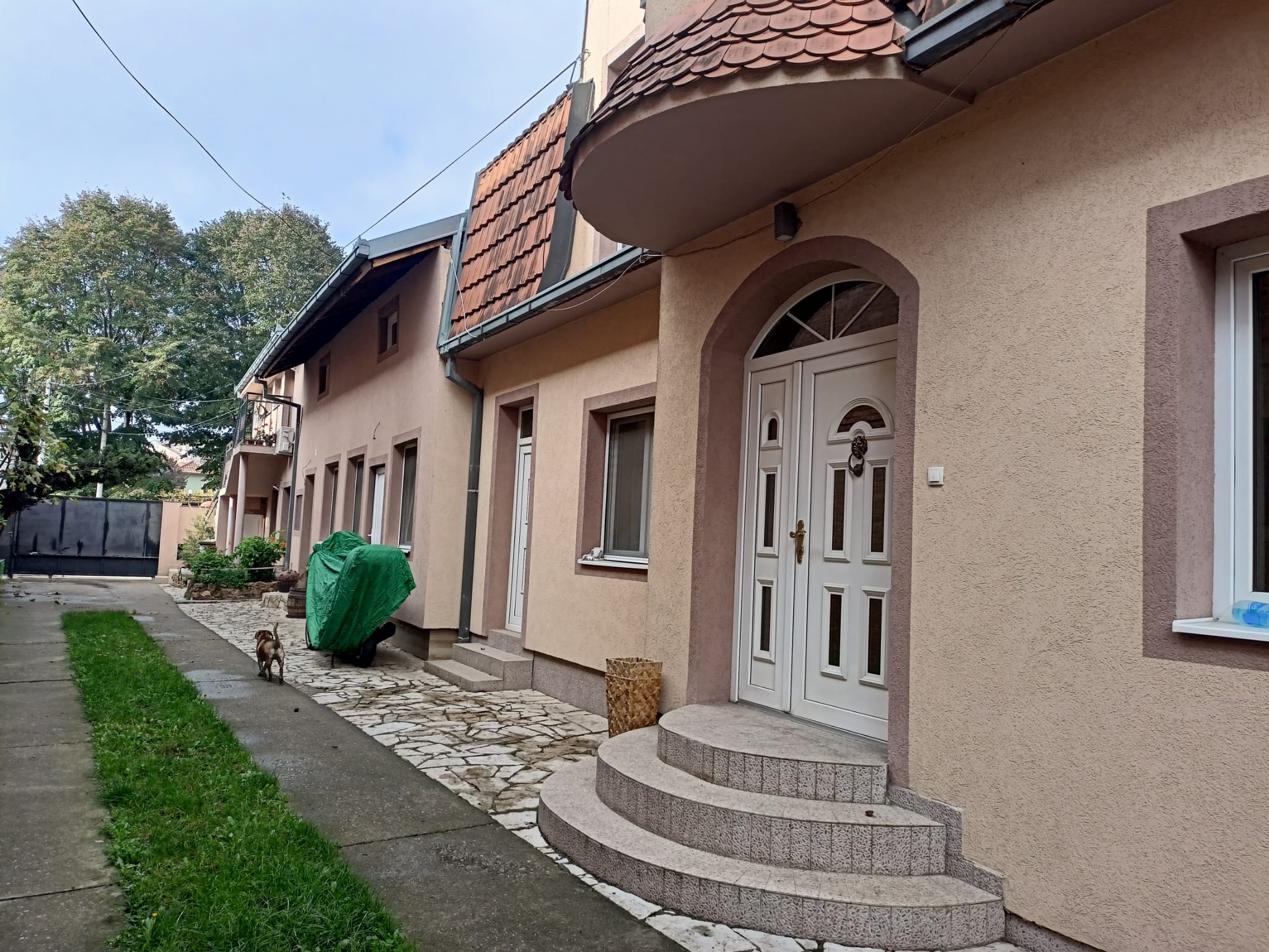 Oaza mira u Zemunu 1