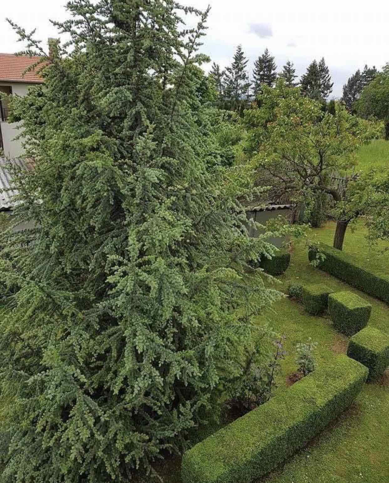 Kuca na prodaju Kragujevac Draca 2