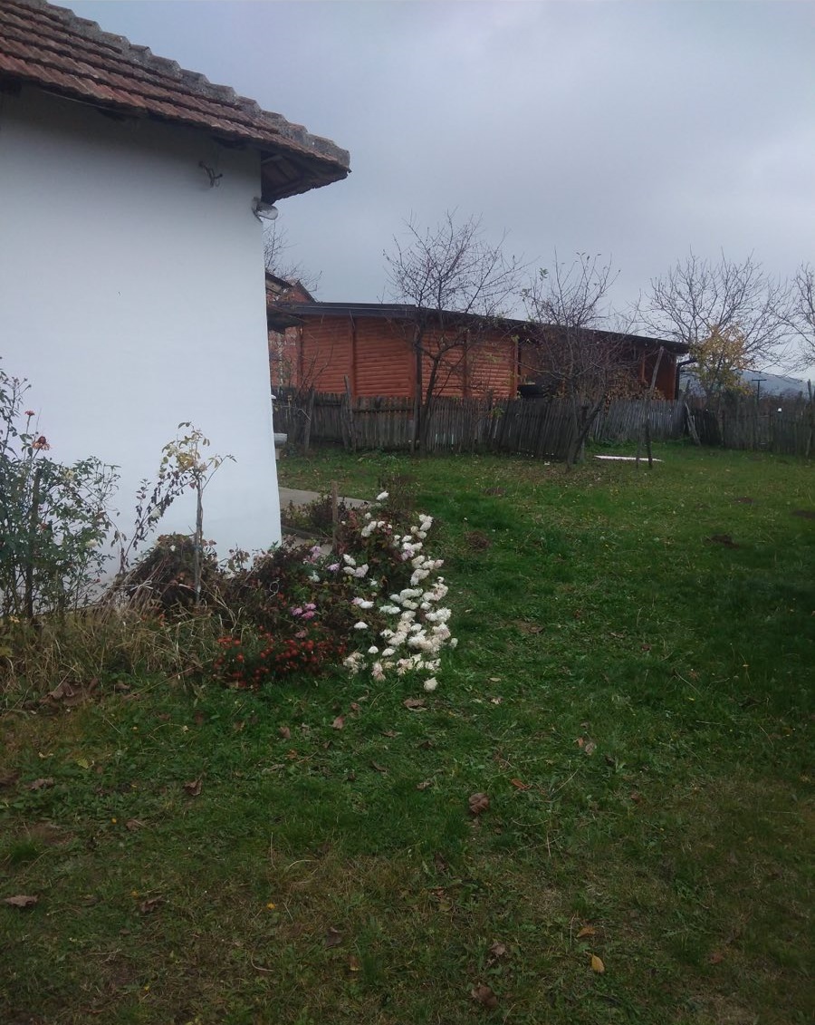 Prodajem kucu na 14 ari placa podnozje Kosmaja 3