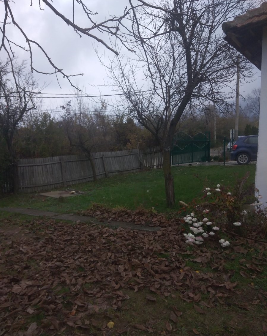 Prodajem kucu na 14 ari placa podnozje Kosmaja 4