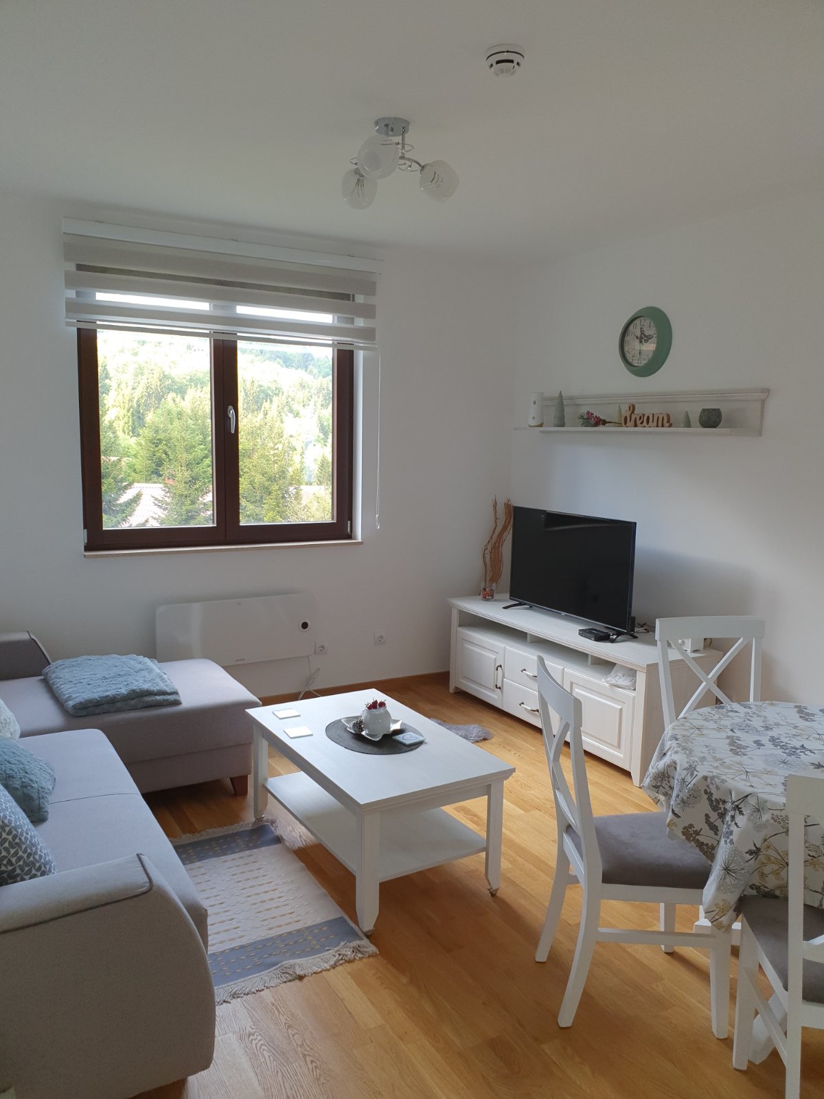 Apartman na Kopaoniku 1