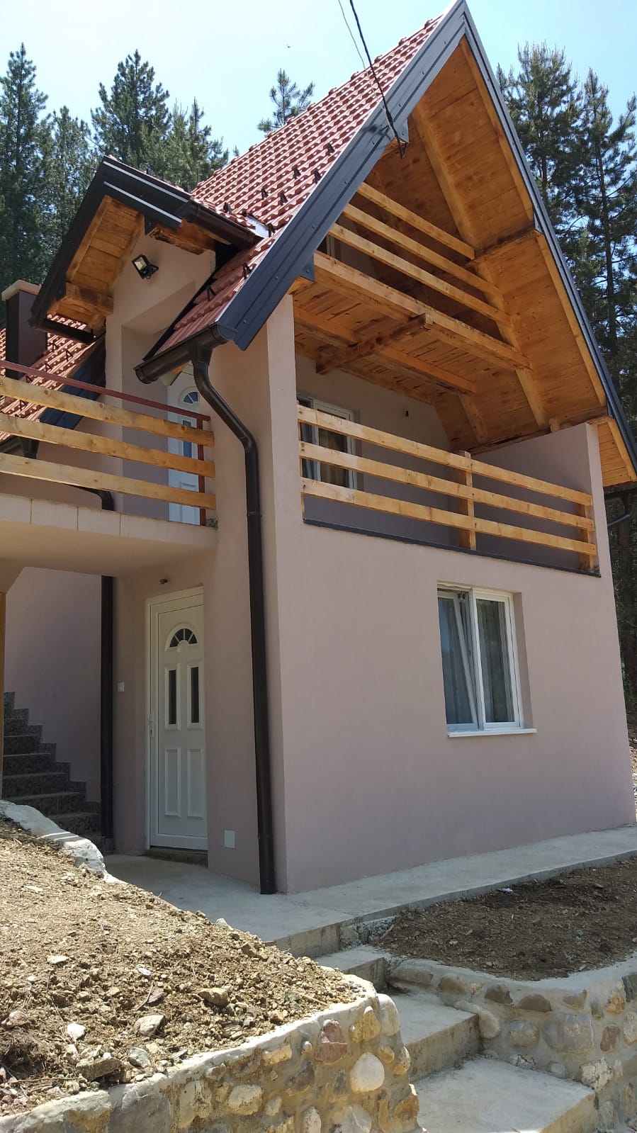 Vila Daniela Tara Zaovine 1