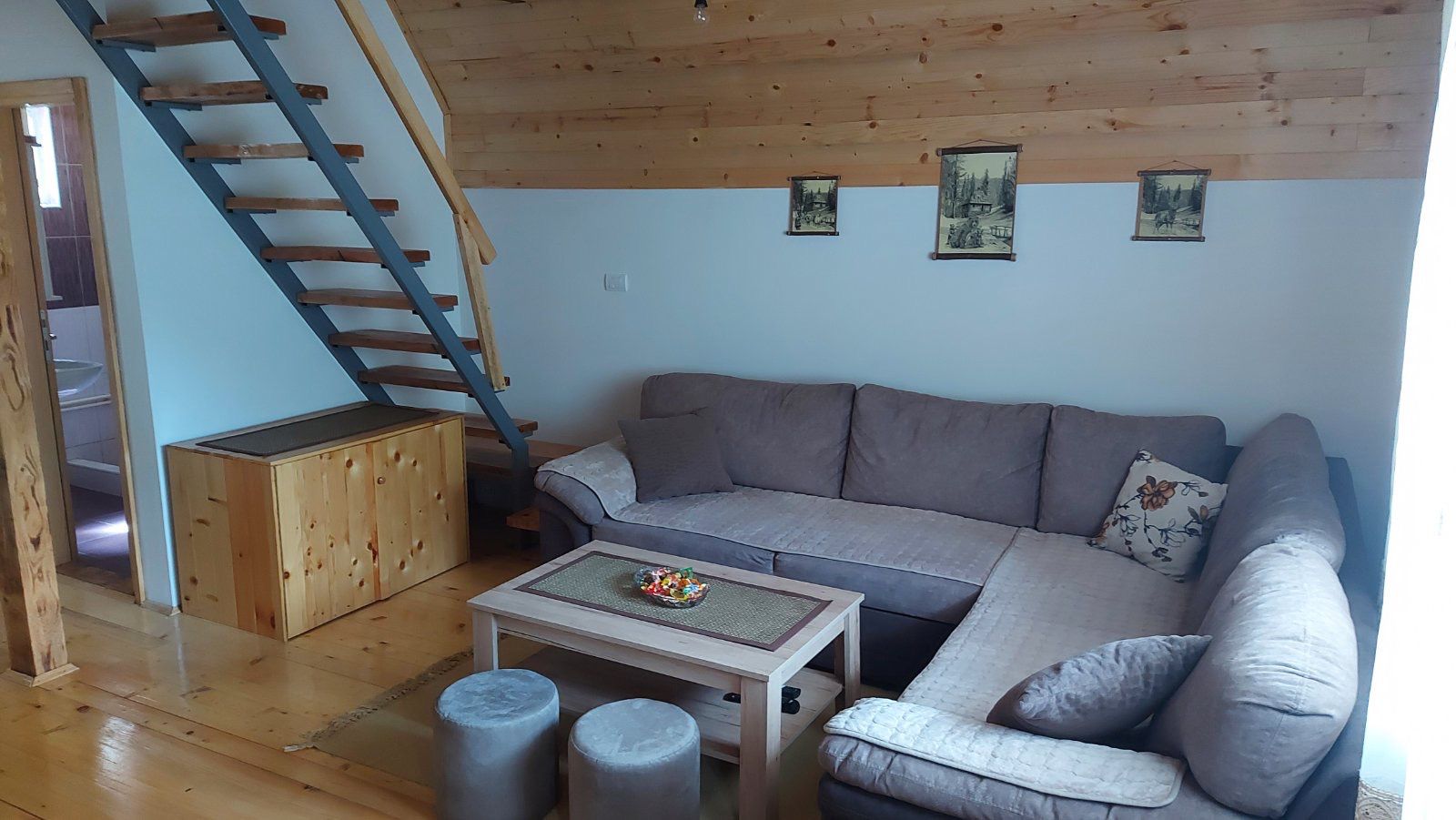 Vila Daniela Tara Zaovine 2