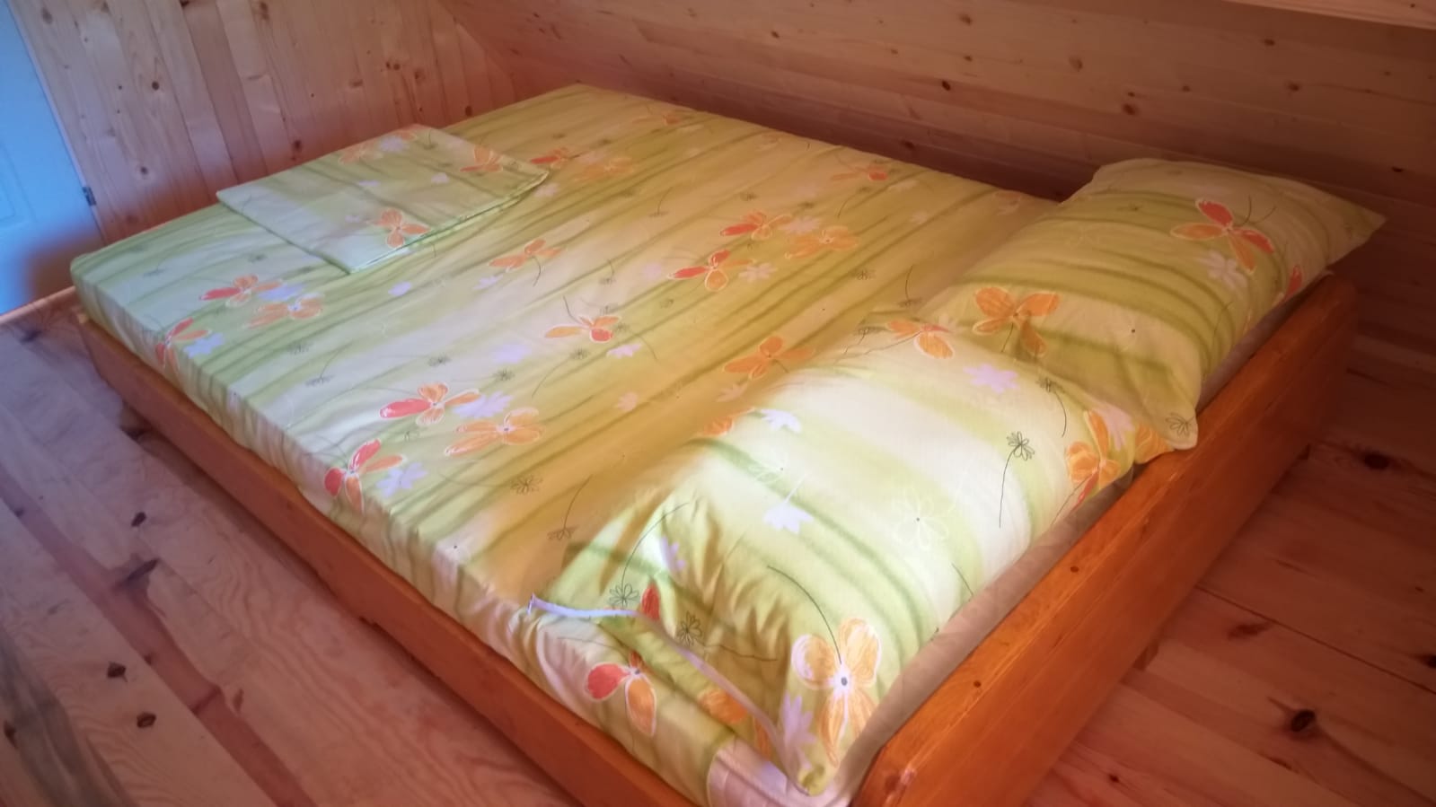 Vila Daniela Tara Zaovine 4