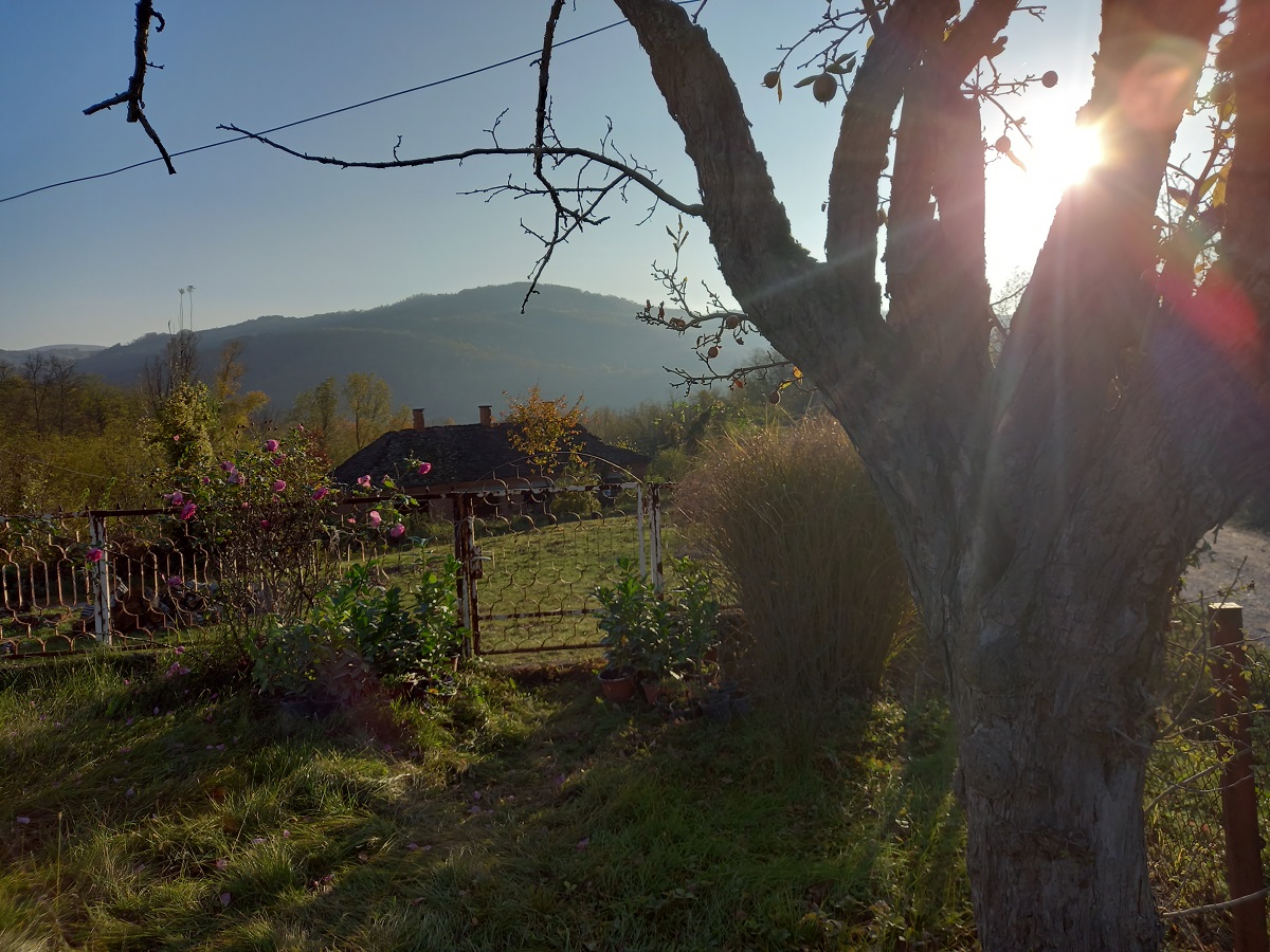 Domacinstvo sa pogledom na Rudnik 5