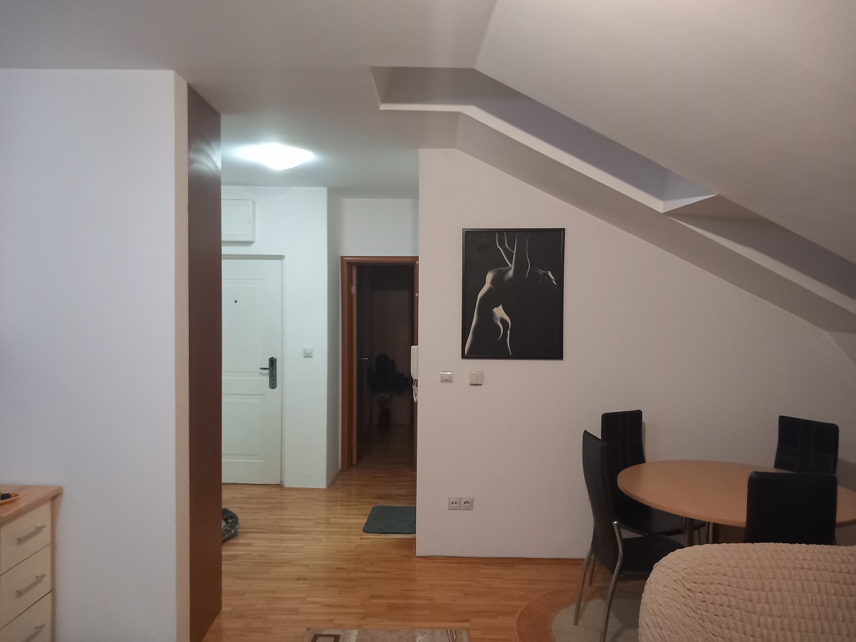 Na prodaju stan Rakovica Knezevac 2