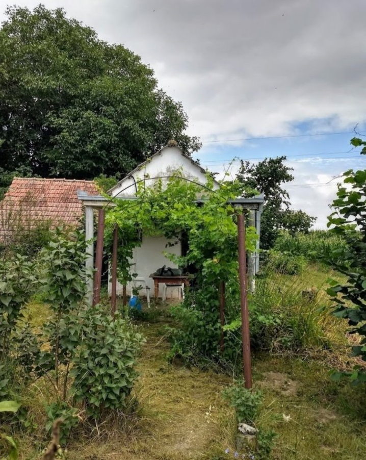 Vikendica Carska bara 2