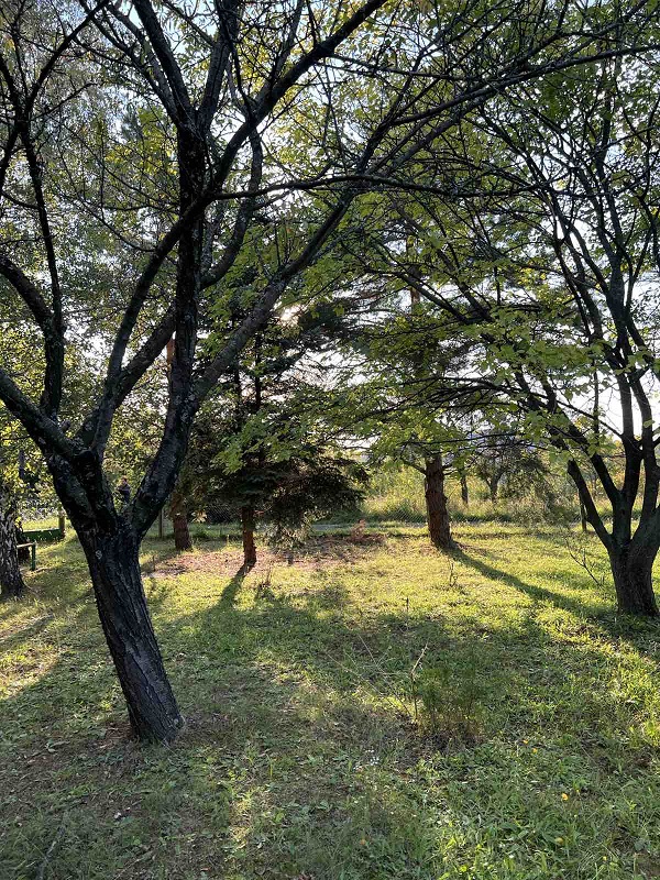 Prodajem plac u Vrdniku 4