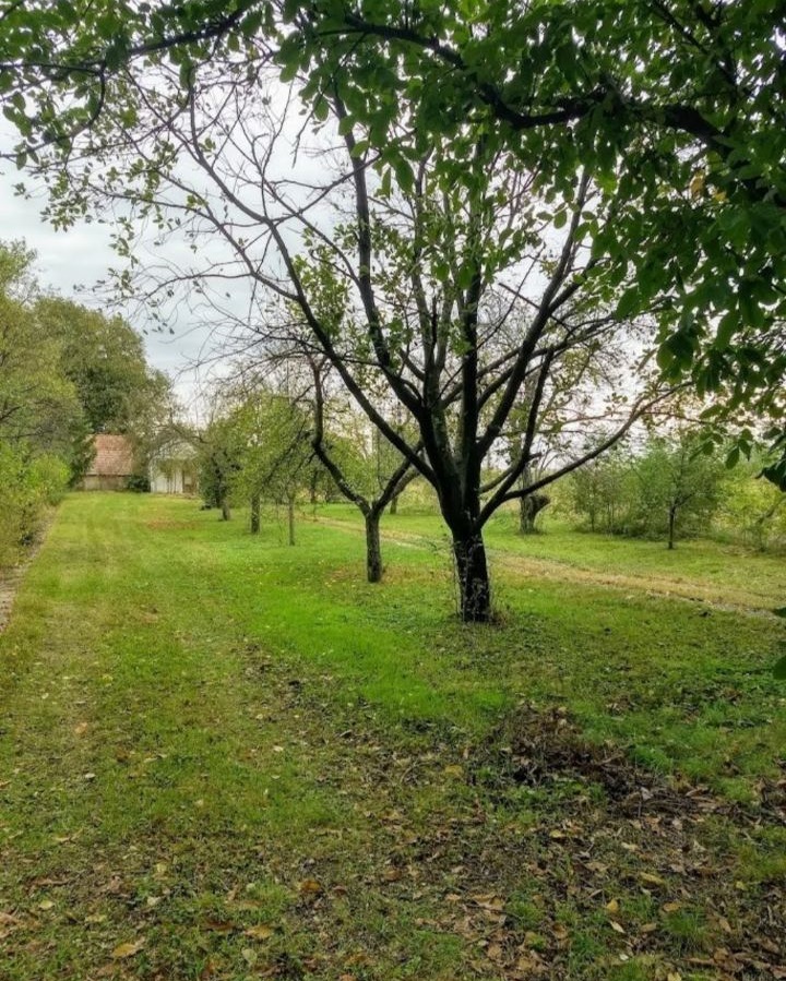 Vikendica Carska bara 4