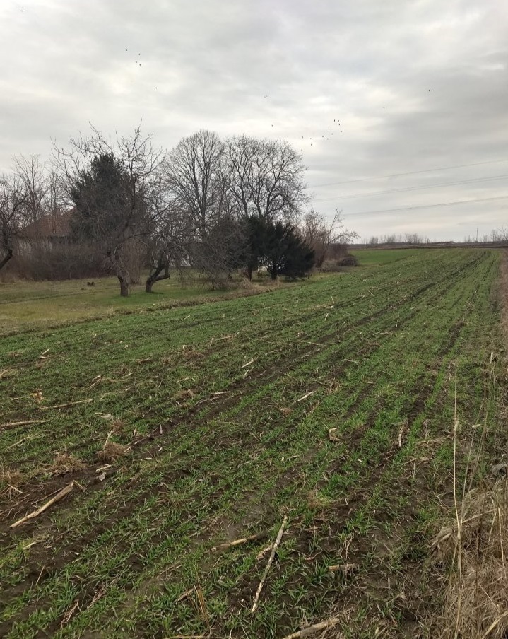 Vikendica Carska bara 5