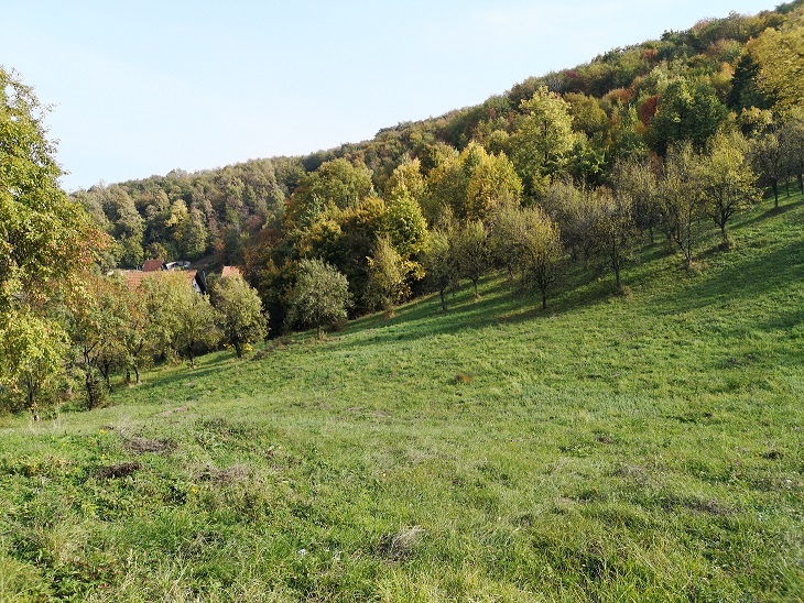 Plac u Banji Koviljaci 1