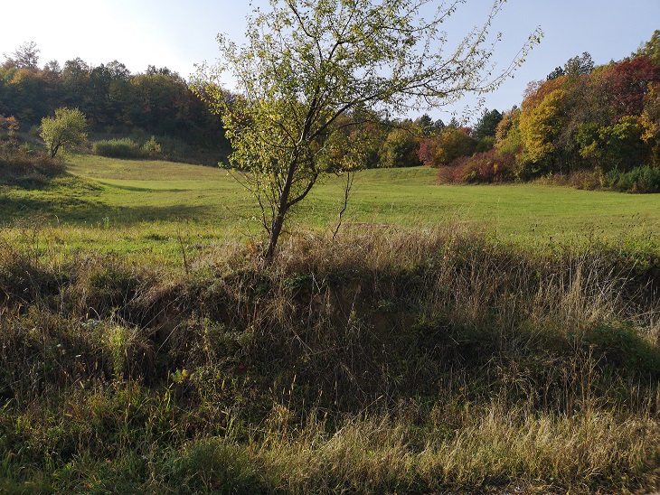 Plac u Banji Koviljaci 4