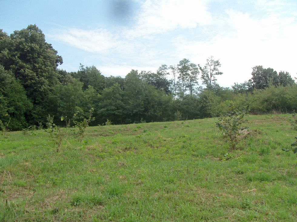 Plac Loznica Klupci 27ari 4