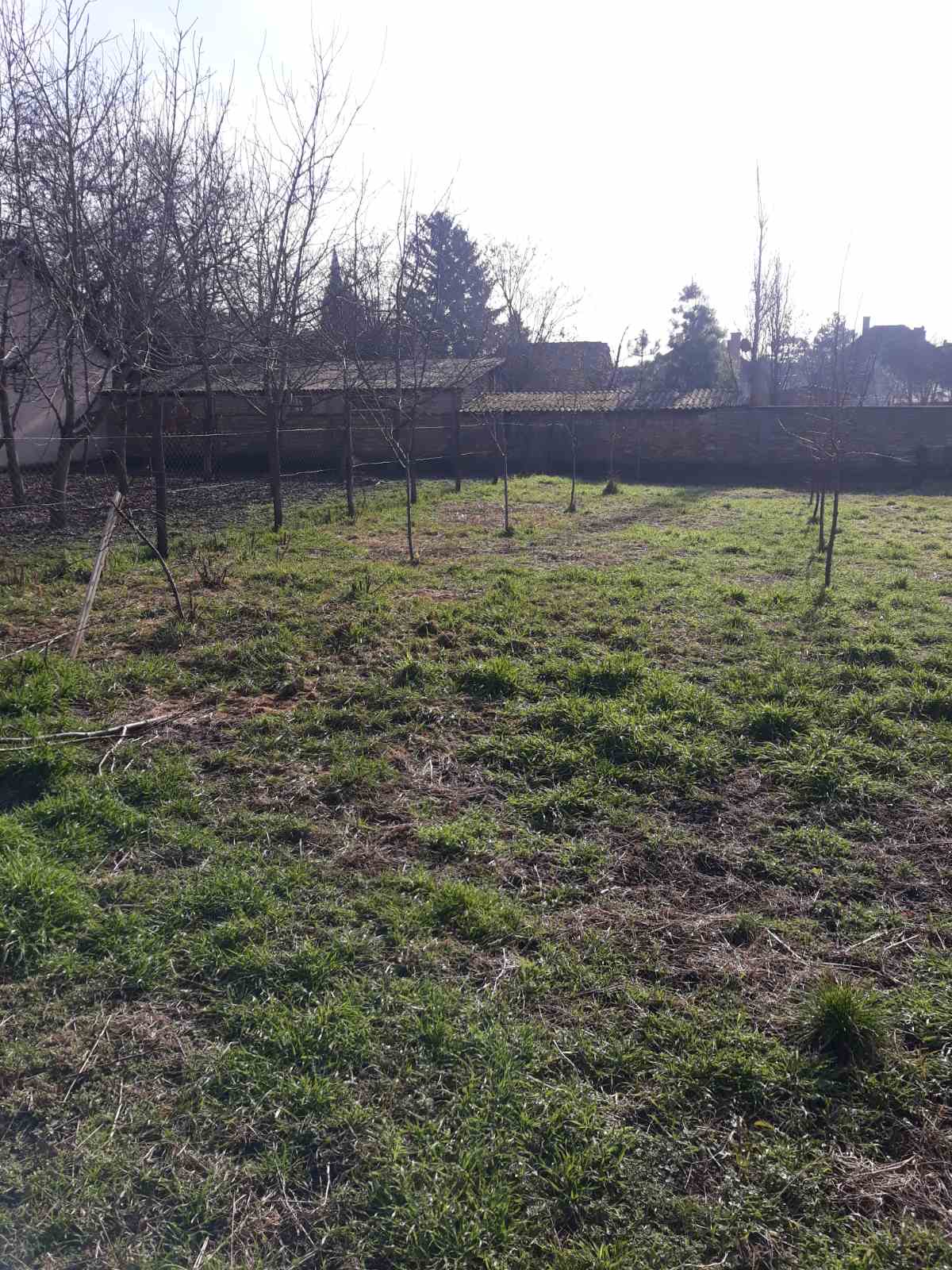 Kuća u centru Čuruga 4