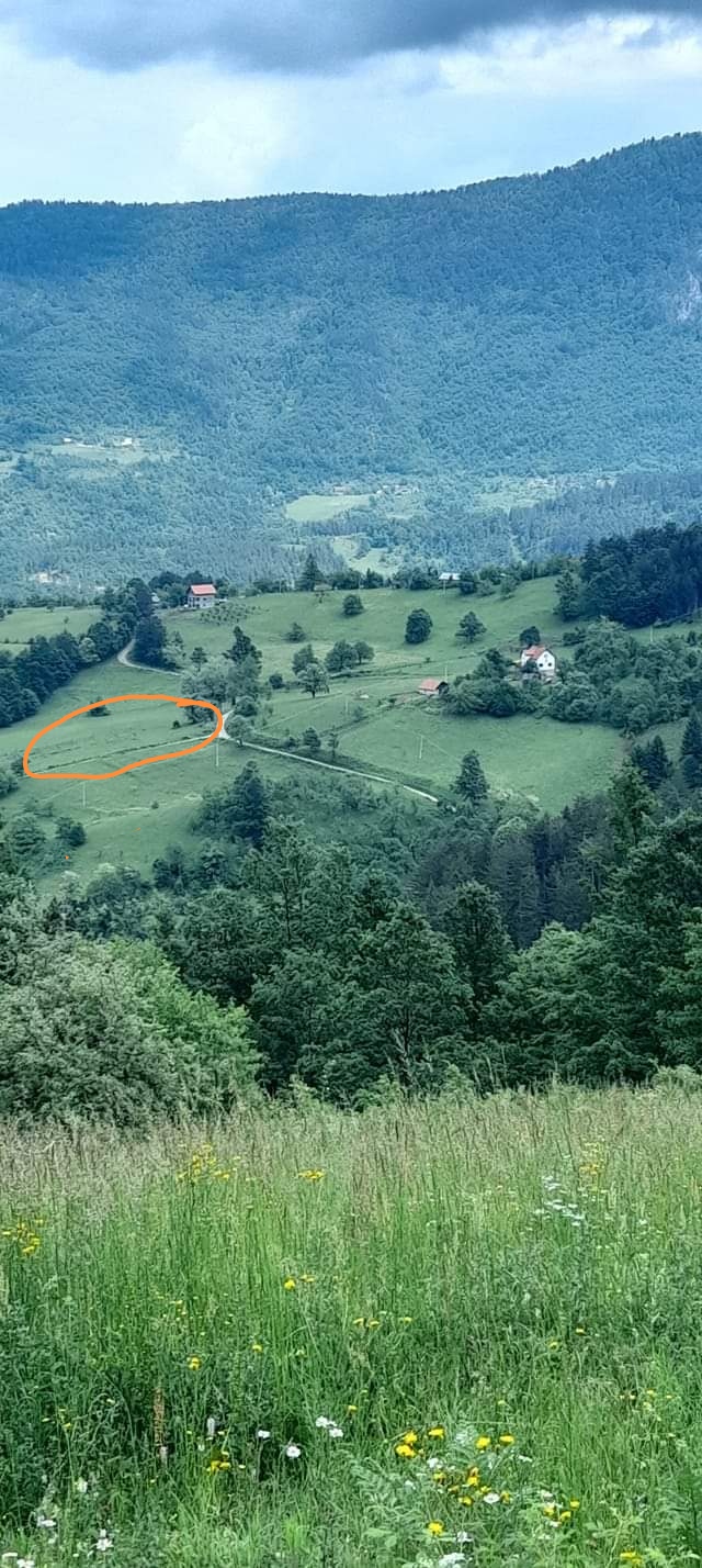 Prodaja zemljista planina Tara 1
