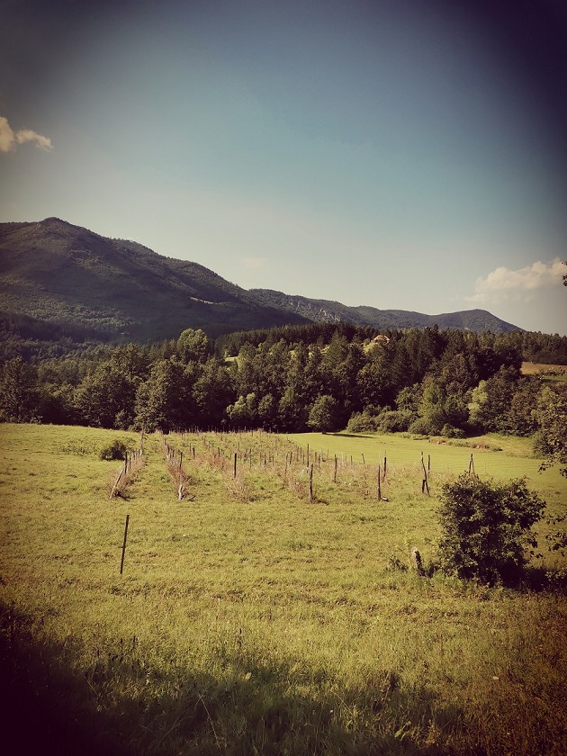 Prodaja zemljista planina Tara 2