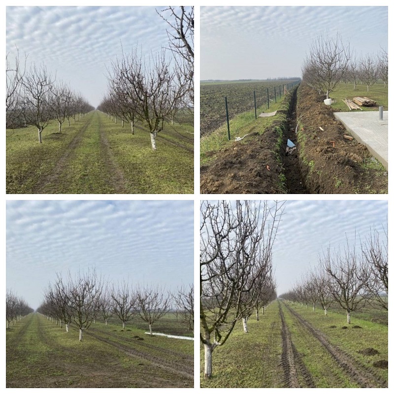 Plac 135ari i montazna kuca Ugrinovci 4