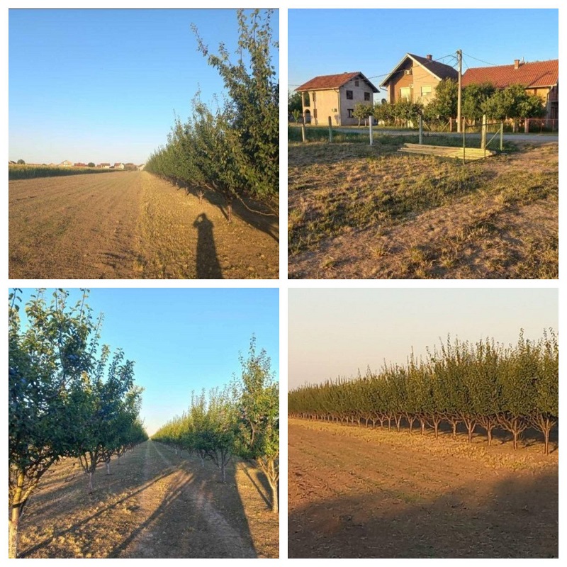 Plac 135ari i montazna kuca Ugrinovci 5