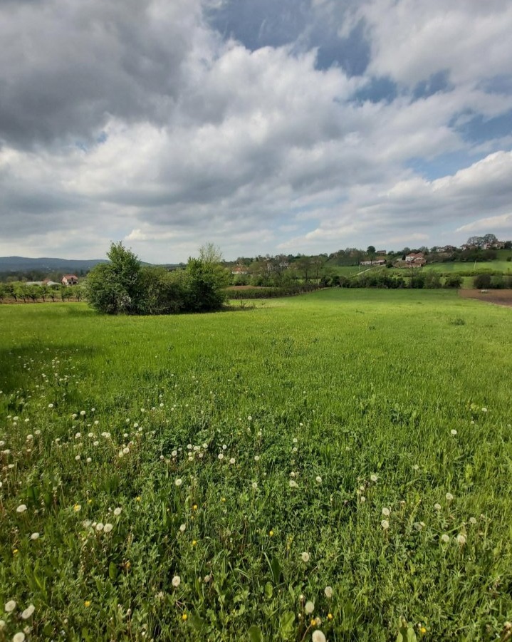 Kosmaj Koracica gradjevinski plac 120ari 4