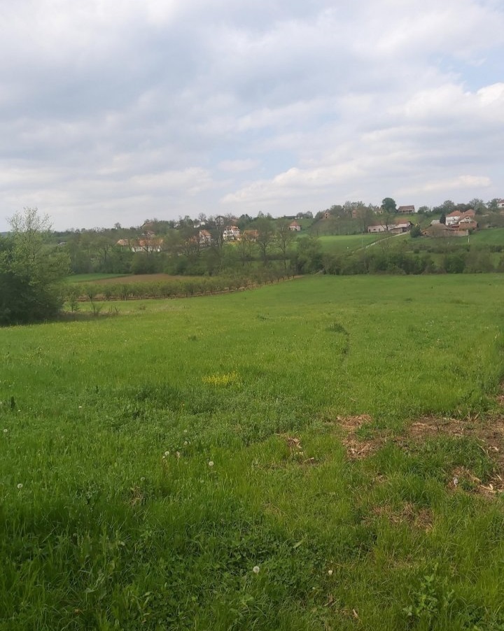 Kosmaj Koracica gradjevinski plac 120ari 5