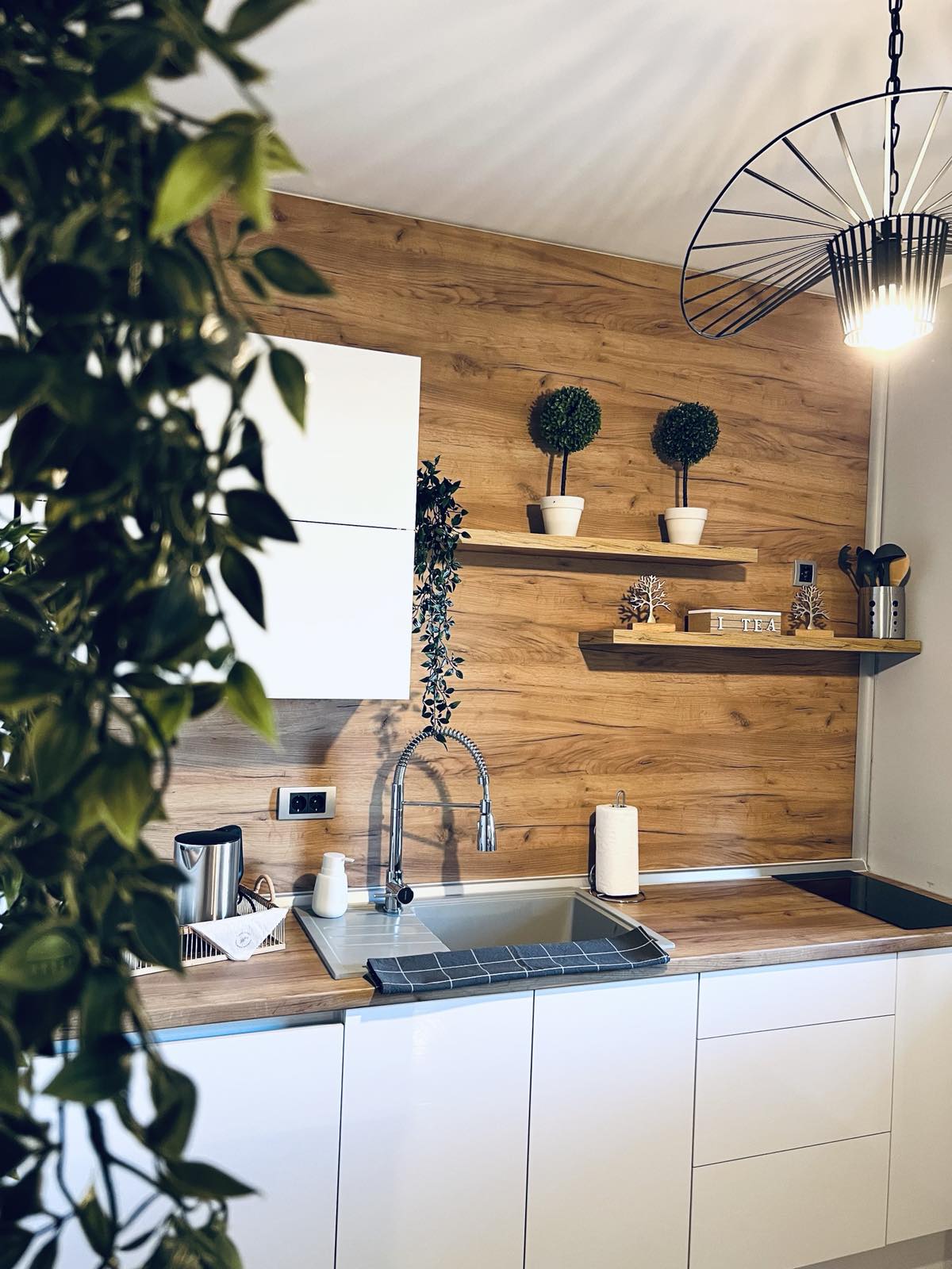 Izdajem apartman na dan 3