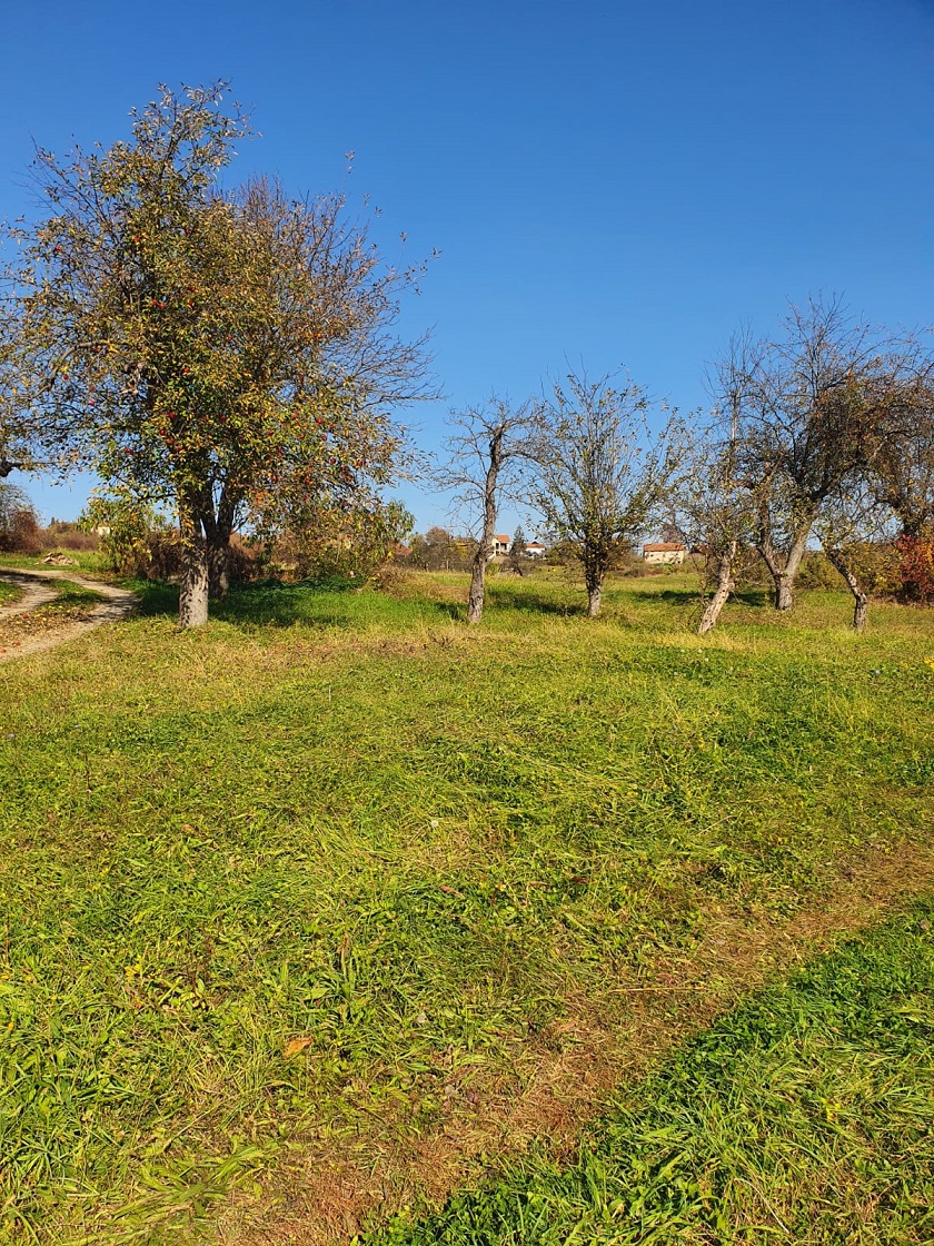 Placevi gradjevinsko zemljiste  autoputem 60min od Beograda  2