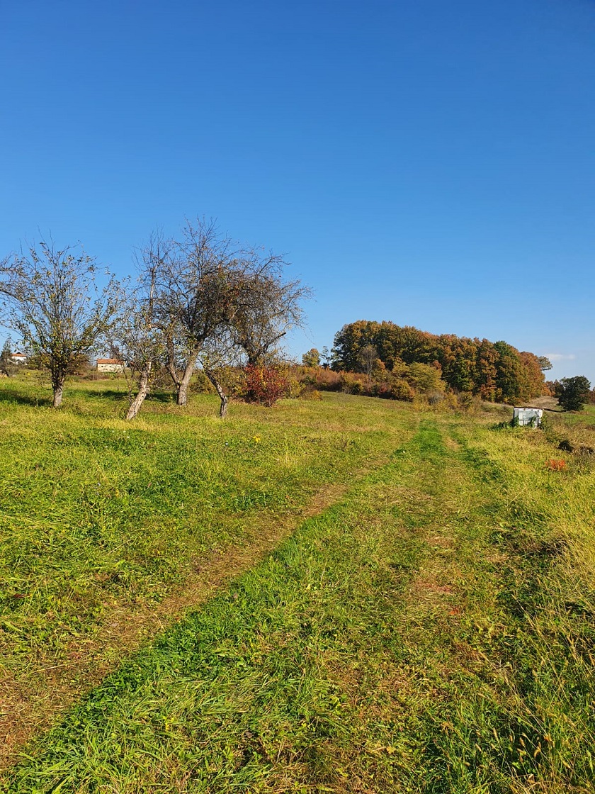 Placevi gradjevinsko zemljiste  autoputem 60min od Beograda  5