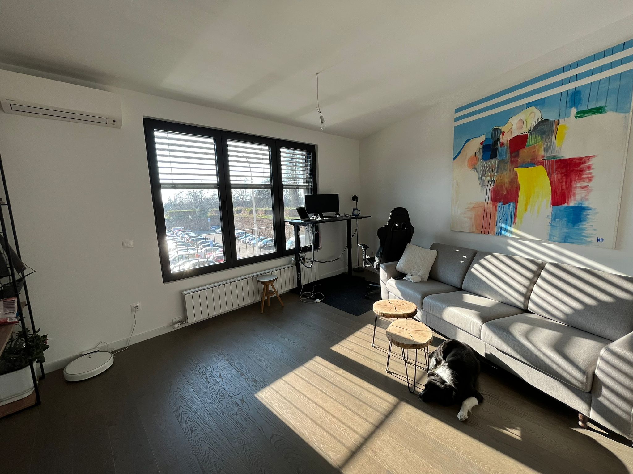 Dorcol   K distrikt   1BR Luxury Apt   Belgrade 4