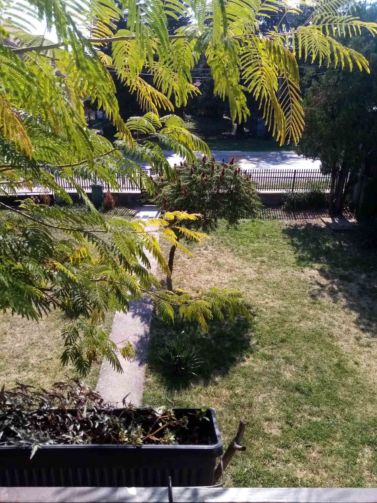 Prodaja kuce Smederevo 4