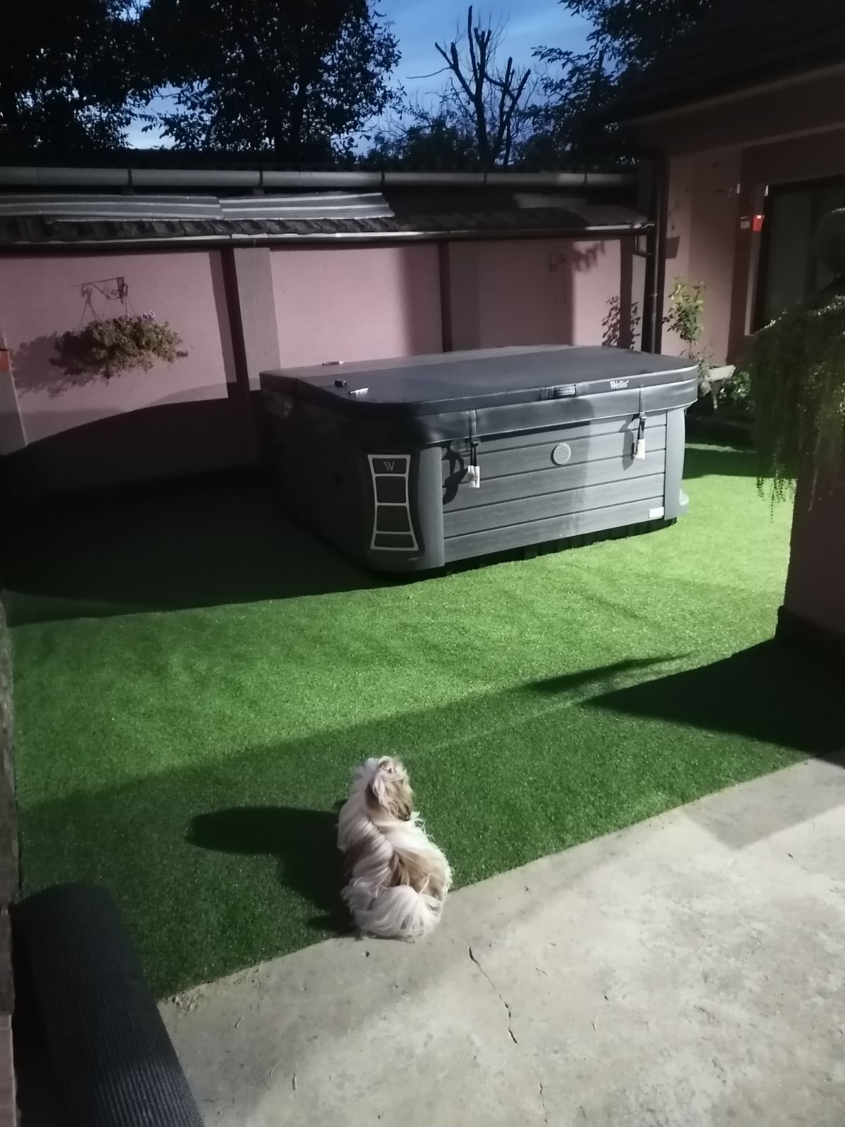 Prodaja kuce SOMBOR 6