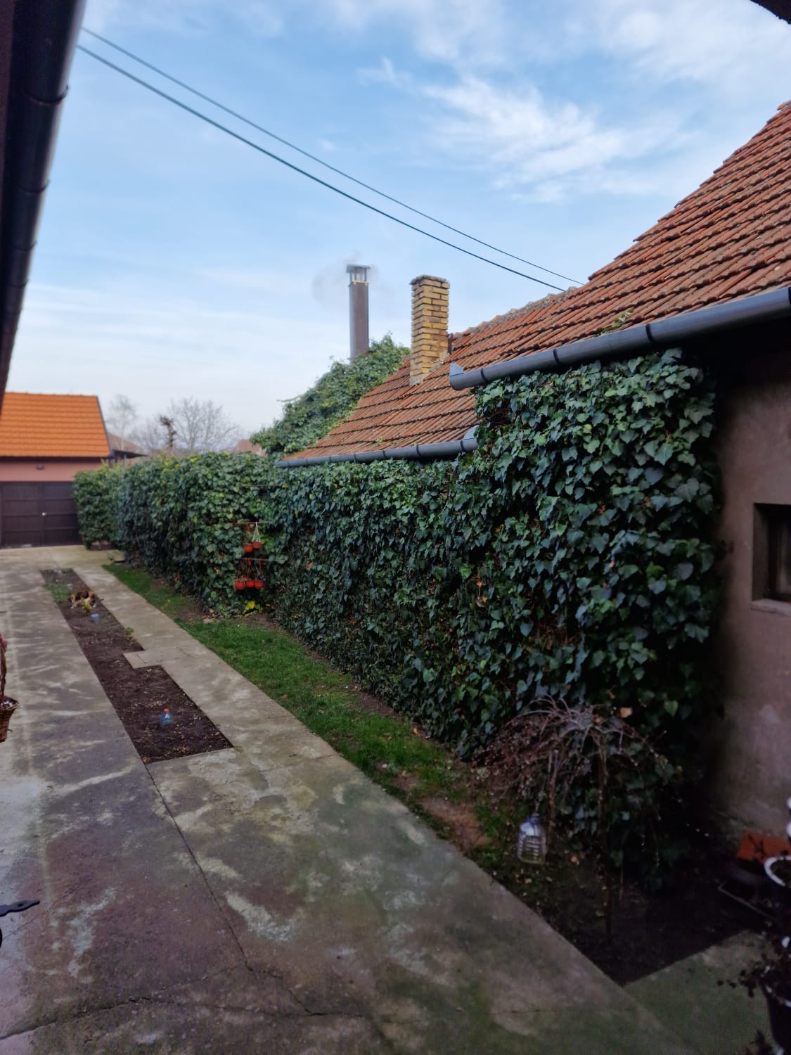 Prodaja kuce SOMBOR 15