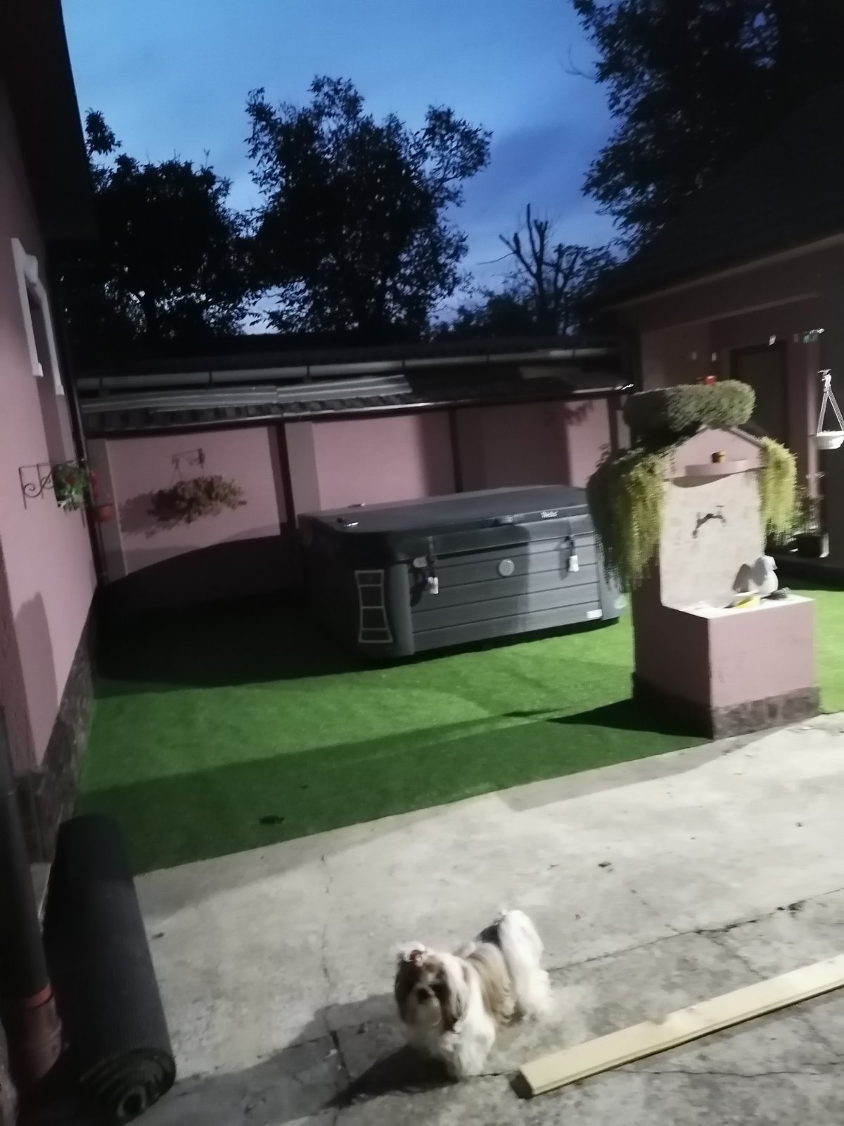 Prodaja kuce SOMBOR 13