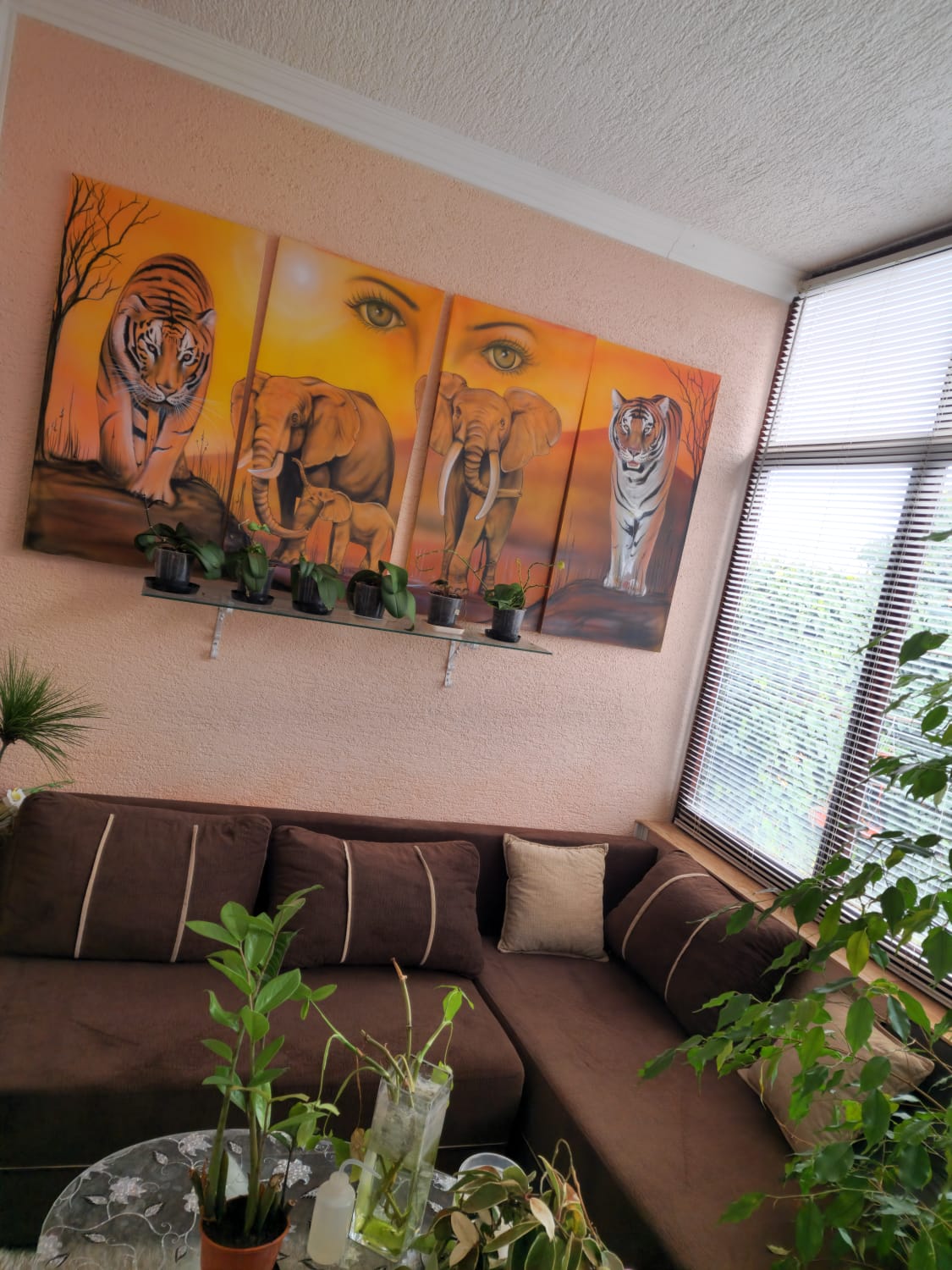 Prodaja kuce SOMBOR 16