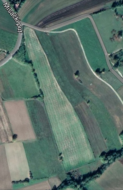 Na prodaju zasad lesnika povrsine 2ha 2