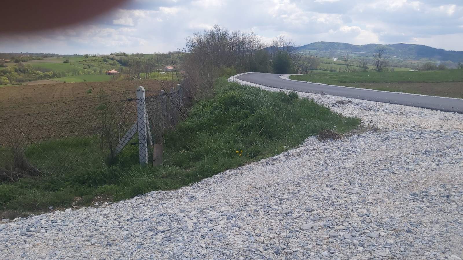 Na prodaju zasad lesnika povrsine 2ha 5