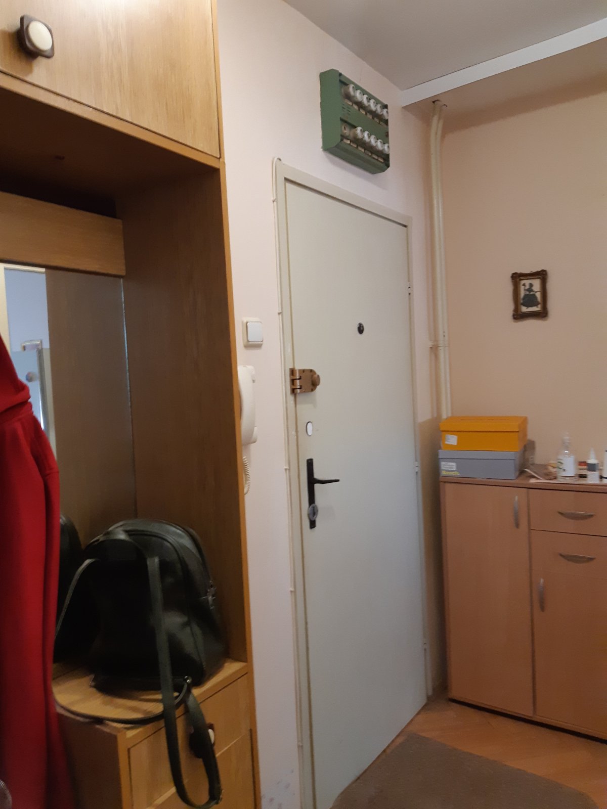 Namešten jednosoban stan Tesla Pančevo 2